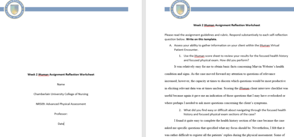 NR509 Week 2: i-Human Virtual Patient Encounter Practice Case and Self-Assessment