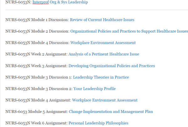 NURS-6053N Interprof Org & Sys Leadership